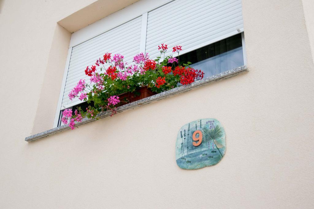 Apartments Hortensia Пула Екстериор снимка