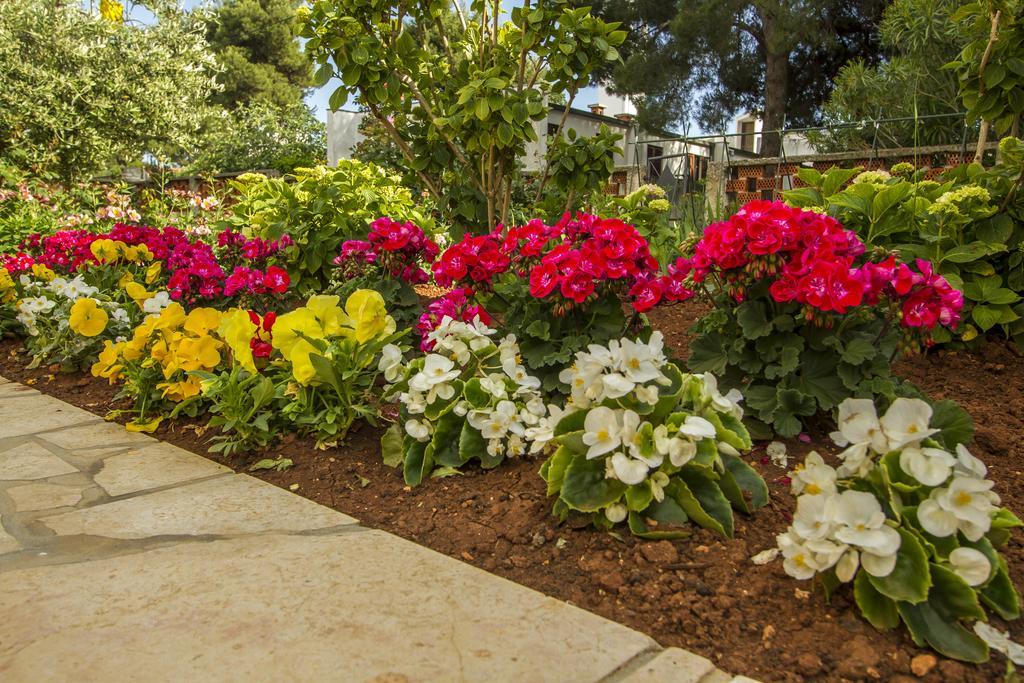 Apartments Hortensia Пула Екстериор снимка